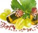 Healthy Grapeseed Oil