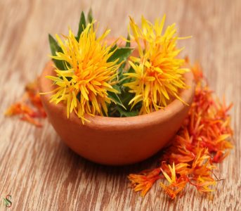 Benefits of Safflower Oil