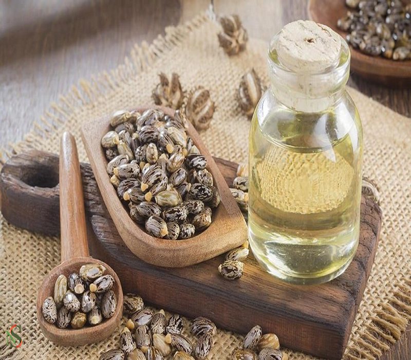 Where to Buy Castor Seed Oil?