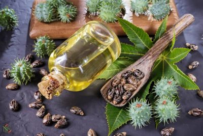 castor oil benefits